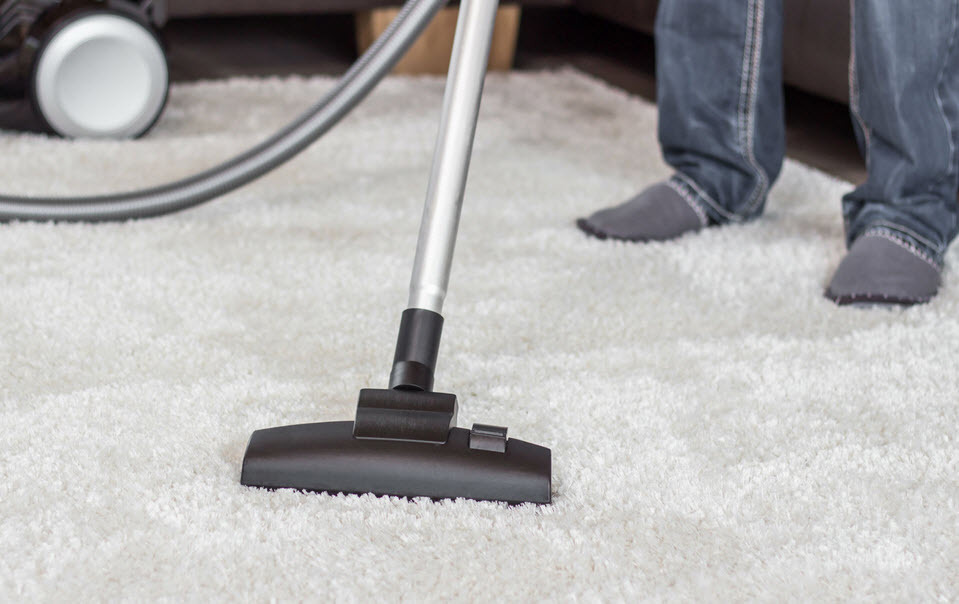 <span style="font-weight: bold;">Carpet Cleaning</span>